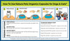 OUT OF THE VALLEY MAX MEAL TOPPER* ADJUNCTIVE VALLEY FEVER FUNGAL SUPPORT* for Dogs and Cats