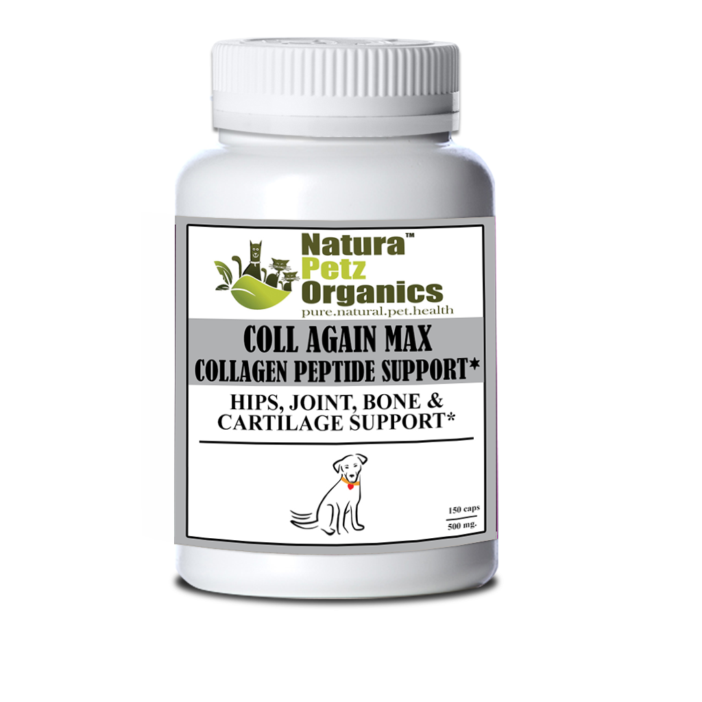 Can Dogs Take Collagen Peptides can-dogs-take-collagen-peptides