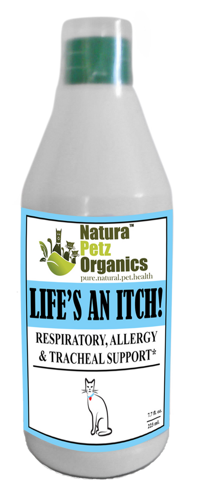 Lifes An Itch Dog Cat Allergy Supplement Pet Allergies Dog Respiratory