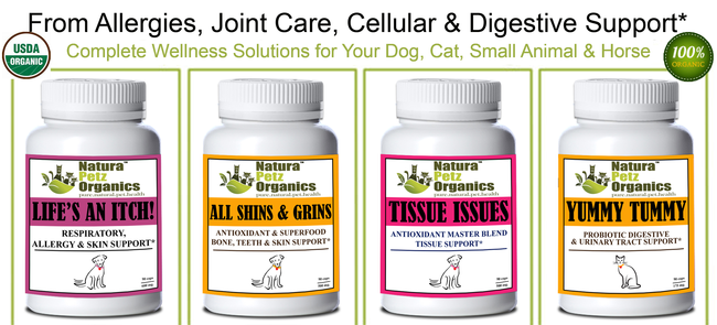 Organic dog supplement best organic dog supplement organic cat remedy